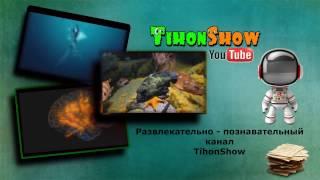 TihonShow | Тихон Шоу