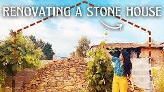 Rebuilding century-old Stone Walls | Abandoned farm Renovation