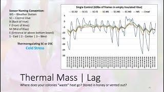 Thermal Mass - Importance of Honey in our wintering Beehives