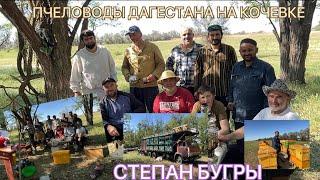 СТЕПАН БУГРЫ. ПЧЕЛОВОДЫ ДАГЕСТАНА НА КОЧЕВКЕ