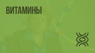 Витамины. Видеоурок по биологии 8 класс