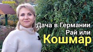 Дача в Германии Рай или Кошмар. @galabum