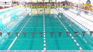 2da Jornada Campeonato Provincial de Natación Promocionales y Federados Mar del Plata  2024