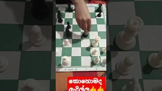 chess for mind exercise  #travelchannel #hikkaduwa #travel #colombocity #chessgame  #sinhala