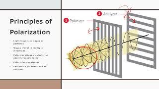 026   Polarizing Microscopy