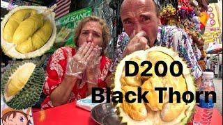 Durian Black Thorn Local food  Malaysia Kuala Lumpur