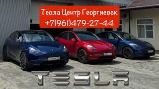 Установка Teslogic / Tesla Model Y