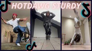 HOTDAWG STURDY 〰 new tiktok dance 