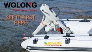 Unleash Power and Silence with the Wolong Flowstar 1.5KW 4HP Electric Outboard Motor