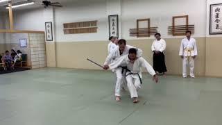 Self-defense Line for Brown Belt: Highlights