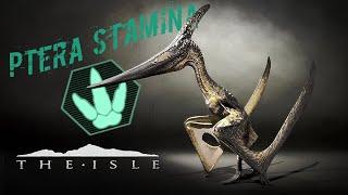 Is Ptera Viable With The New Stamina Regen? The Isle Update 7 Gameplay-