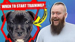 When Should I Start Training My STAFFORDSHIRE BULL TERRIER PUPPY?