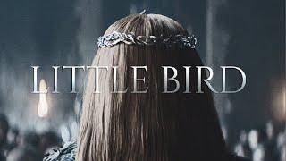 (GoT) Sansa Stark || Little Bird