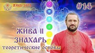 ЖИВА II. ЗНАХАРЬ - Теоретические Основы. Школа Живы.#14 шж Владимир Куровский