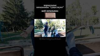 Начальник @MorningSuckSun
