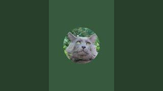 Nebelung (Нибелунг) is live!