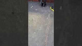 https://t.me/+E7m96fgTybthMDhk - https://t.me/ISeusVip ÜCRETLİ Temizlik Vlog Katıl & İPCAM VİP KANAL