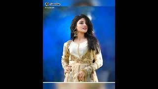 Pakistani modal Ellie Zaid