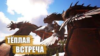 Знакомство с Вивернами - Ragnarok # 11