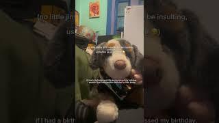 talking about essa day #essacommunity #essa #plush #essadog #essaday #fyp