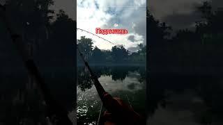 Уникальный оливковый сомик (Fishing planet)