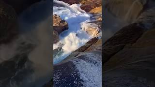 When He Jumped In The Water He Realised The Mistake He Had Just Made…