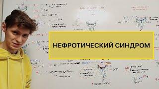 Нефротический синдром. Патогенез. Основные причины.