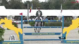 Just A Dream (ZIROCCO BLUE) et Harm Lahde - Champions du Monde des 7 ans Lanaken