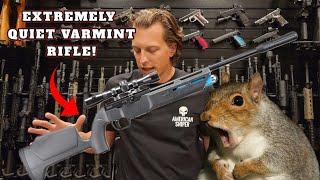 CHEAP and Effective Varmint Gun - Umarex Komplete NRA 2024