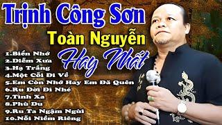 Nổi Da Gà với Tuyển Tập Nhạc Trịnh Hay Nhất qua tiếng hát của Toàn Nguyễn