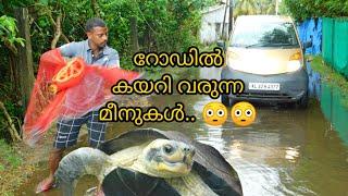 റോഡിൽ കയറി വരുന്ന മീനുകൾ.. /Fishing at road