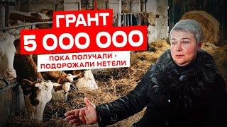 Как правильно планировать грант? | Грант на развитие сельского хозяйства