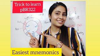 Trick to learn pBR322 ||class12||