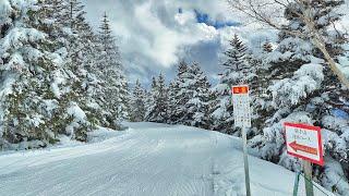 2023 Shiga Kogen - Skiing in Japan 