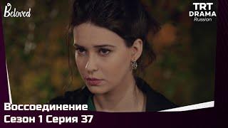 Воссоединение Сезон 1 Серия 37 @TRTDrama_Ru