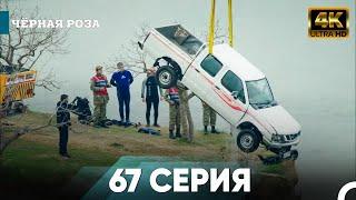 Чёрная роза 67 Серия Kороткий | 4K