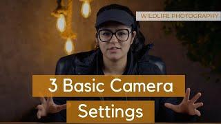 3 Basic Camera Settings for Beginners in Wildlife Photography