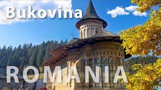 Travel Vlog: Bucovina. Why is Suceava so Expensive?