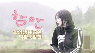 함안악양생태공원_박지이ㅣ샤스타데이지 ㅣ운해