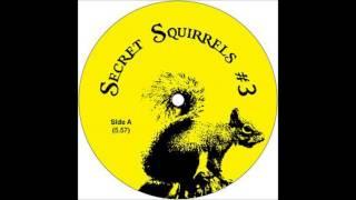 Secret Squirrels #3 - Track B