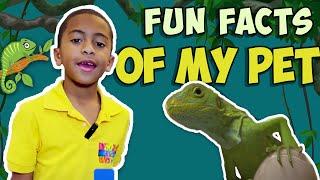 MEET MY PET | MITCH The Iguana | The Fun Facts About Green Iguana