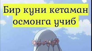 БИР КУНИ КЕТАМАН ОСМОНГА УЧИБ, МЕНИ ЯҲШИ КЎРГАНЛАР БАЛКИ ЙИҒЛАЙДИ