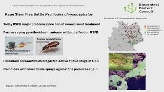 Regulation of biological control agents: a global overview