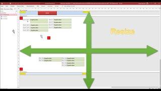 AutoScale Resize Access Formulare automatisch auf die maximale Monitorgröße anpassen.