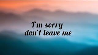 SLANDER_I'm sorry don't leave me i want here with me (lyrics) Love is gone