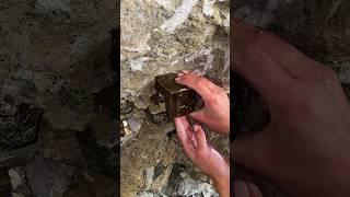 The Biggest Pyrite Crystal We Ever Found!