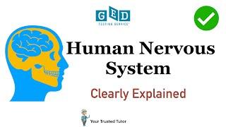 Human Nervous System Clearly Explained | GED Science (Life science) [Human Body]