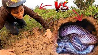 Brave Girl Fights Giant Snakes Cobra For Living | Mike Vlogs