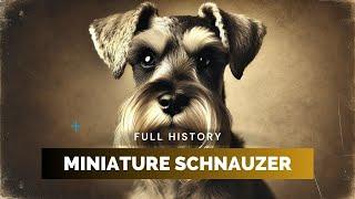 Miniature Schnauzer - Full History