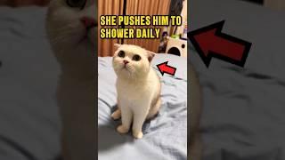 Why This Cat Always Follow Him to the Shower ️